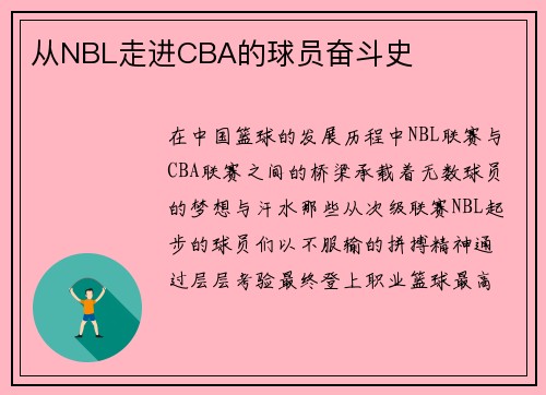 从NBL走进CBA的球员奋斗史
